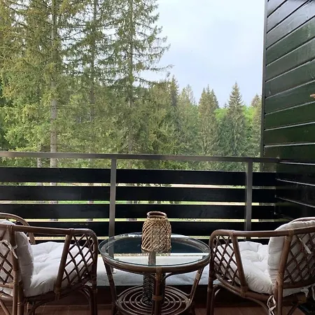 Tiam D117, 3 Rooms, 3 Terraces, 3 Bathrooms * Poiana Brasov